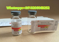 Paper 10ml Vial Labels Stickers Testosterone Enanthate 250mg Two Color Printing