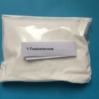 Muscle Building White Powdered Testosterone Enanthate CAS 315-37-7