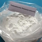 98% Testosterone Phenylpropionate CAS 1255-49-8