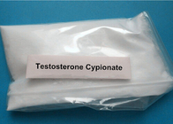 98% Testosterone Cypionate Raw Hormone Powders CAS 58-20-8