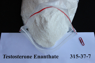 99% Testosterone Enanthate CAS 315-37-7 For Male Sex Enhancement