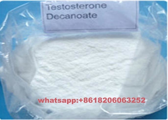 Sterilized Testosterone Decanoate Steroid Raw Powder