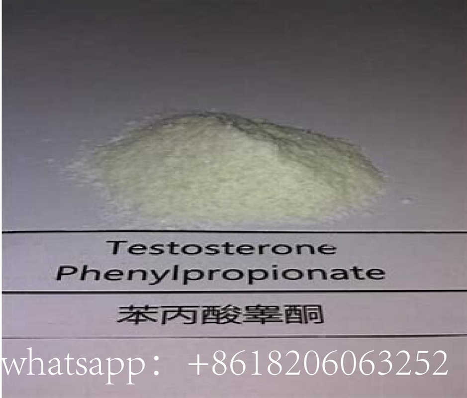 CAS 1255-49-8 Testosterone Phenylpropionate For Fat Burning