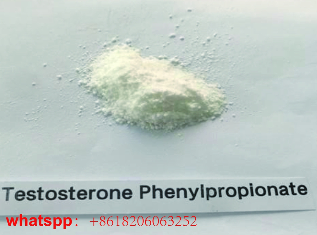 Pharmaceutical Grade Testosterone Phenylpropionate CAS 1255-49-8