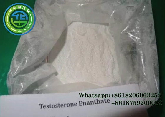 Muscle Building White Powdered Testosterone Enanthate CAS 315-37-7