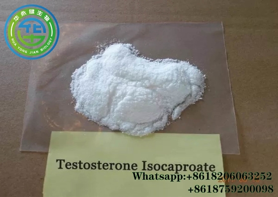USP 30 Bodybuilding Testosterone Isocaproate CAS 15262-86-9