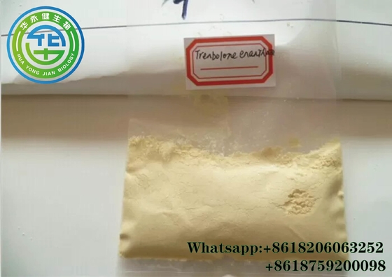 Tren Enanthate Parabolan CAS 472-61-5 Trenbolone Enanthate Powder For Muscle Gaining