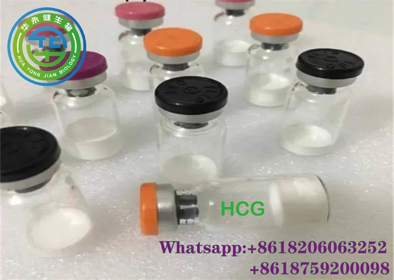 Injectable human growth hormone livzon hcg 5000 iu for weight loss chorionic gonadotropin bodybuilding Cas 9002-61-3