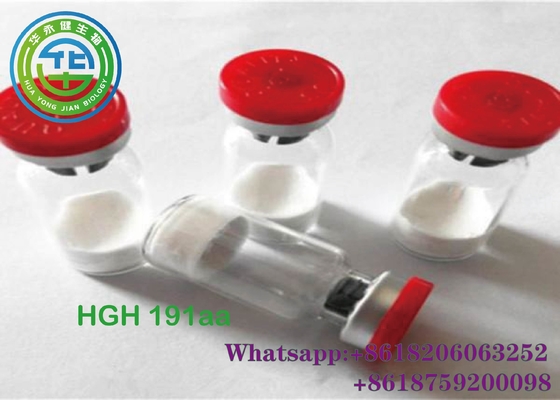 Wholesale Human Growth Hormone getropin hgh 191aa peptide grey tops Men recombinant Anabolic Injectable