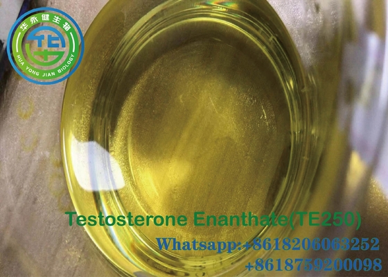 Testosteron oil 10ml testosterone enanthate muscle gain TE250 250Mg/Ml Cas NO 315-37-7
