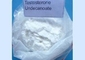 USP CAS 5949-44-0 Testosterone Undecanoate For Bodybuilding