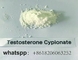 CAS 58-20-8 Testosterone Cypionate Steroid Raw Powder