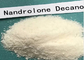 USP Nandrolone Decanoate CAS 360-70-3 For Bodybuilding Deca Durabolin Raw material powder