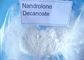 Deca Durabolin Raw Hormone Powder Pharmaceutical Deca Nandrolone Decanoate CAS 360-70-3