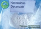 GMP Nandrolone Decanoate CAS 360-70-3 For Cutting Cycle Deca Durabolin Bodybuilding Steroid Powder