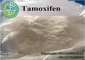Metabolic Enhancement Steroids Powder 54965-24-1 Nolvadex Anti Estrogen Steroid Tamoxifen Citrate Bodybuilding