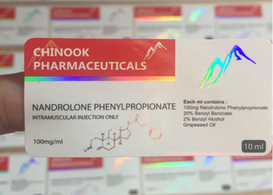 Paper Holographic Custom Adhesive Stickers 6 X 3 Cm With Round Corner